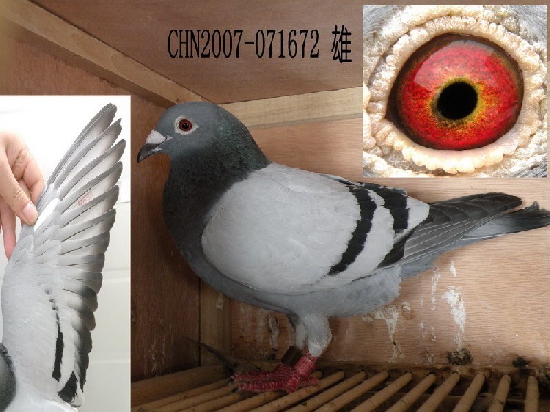 һ׿ϣӭh(hun)̖cS
