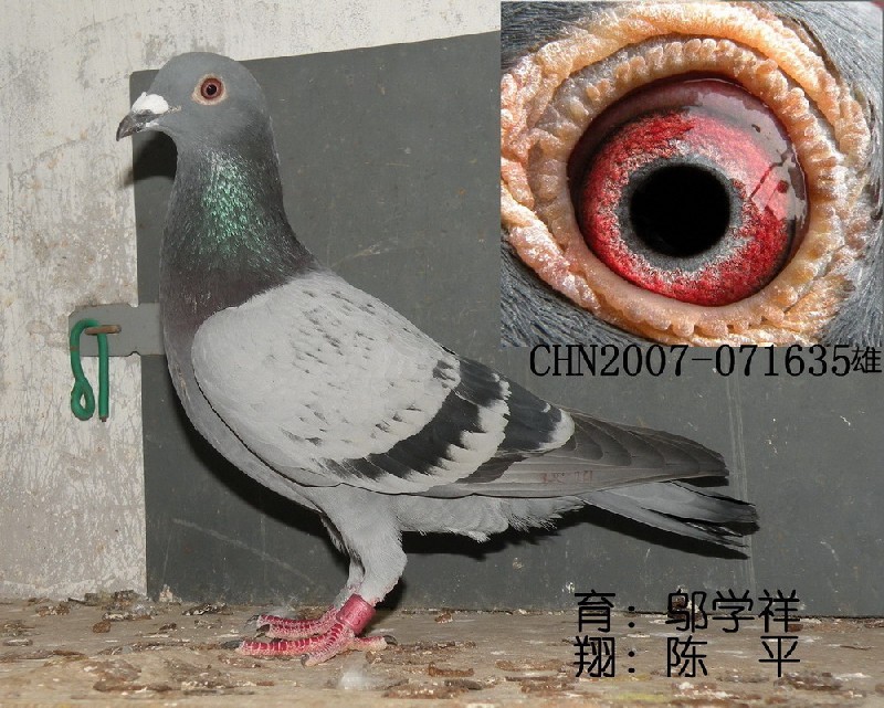 ڶƽӭh(hun)̖071635.cɰ